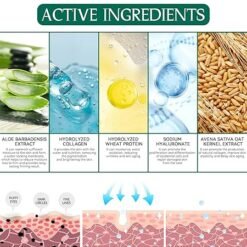 Grafik der Inhaltsstoffe: Aloe Vera, Kollagen, Hyaluron und Hafer-Extrakt mit Hautquerschnitt